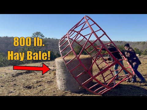 Tractor Down: Hand-Feeding Hay on the Homestead!