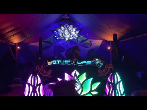 Evan Hatfield- Lucidity 2022