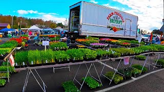 First Day At The Farmers Market