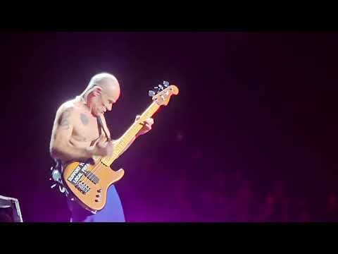 Red Hot Chili Peppers - Intro + Can't Stop (live @ Rio de Janeiro 04/11/2023)