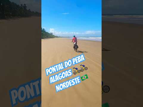 Feliz Deserto, praia do Peba - Alagoas #cicloturismo #ciclismo #nordeste #alagoas #bikelife