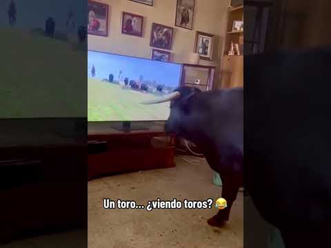 Las noches de El Toro TV | Agresiones a militares en CEUTA y catástrofe en NEPAL | 27/08/2026