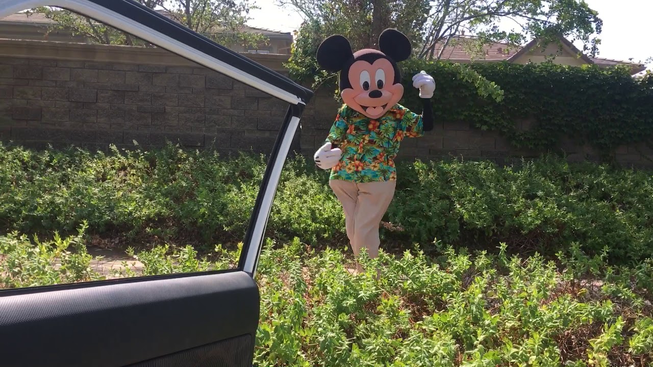 Promotional video thumbnail 4 for Mascots In Action