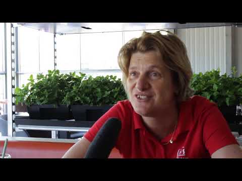 download lagu mp3 mp4 Wereld Ms Dag 2019, download lagu Wereld Ms Dag 2019 gratis, unduh video klip Wereld Ms Dag 2019