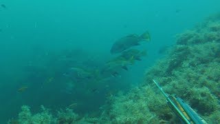 Рыбалка на черное море под водой