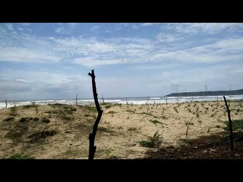 Mithmumbari: beach to bridge