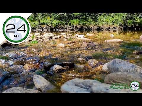 Tingulli i UJIT që rrjedh pa probleme dhe pa muzikë në një LUM të qetë Për të fjetur dhe Relaksohuni