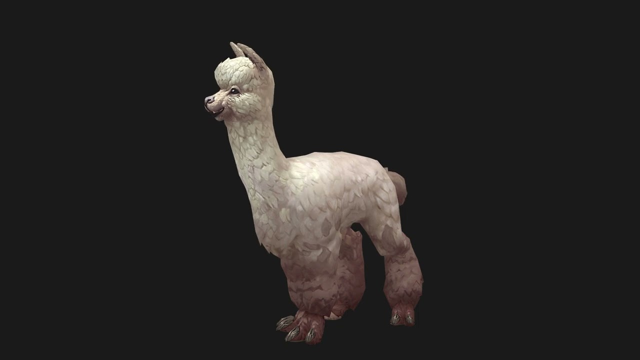Alpaka 3D Model