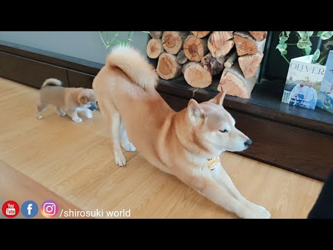 YouTube 썸네일