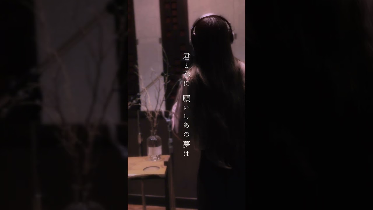 珀 - SAKURA (cover)