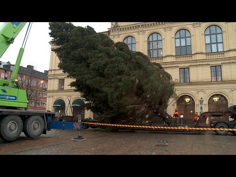 Årets julgran och årets julklapp