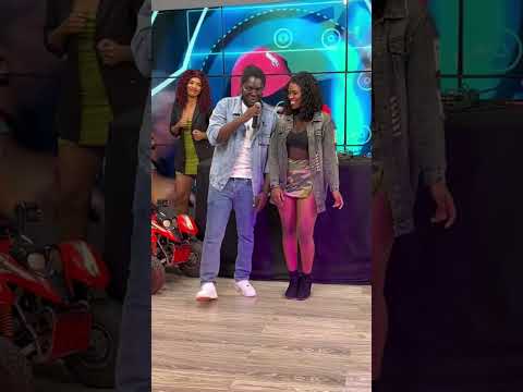 Bokly “MARANDZAS” programa PÂNICO (tv sucesso)