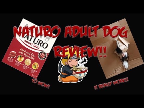 Naturo - Adult Dog Review