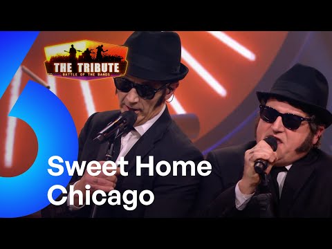 Sweet Home Chicago - Brothers od Blues | The Tribute