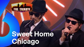 Sweet Home Chicago - Brothers od Blues | The Tribute