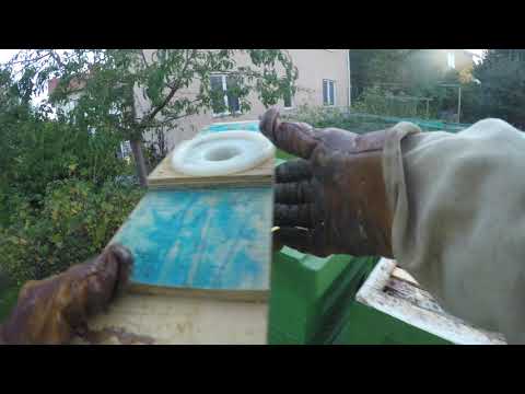 Avsluta invintringen