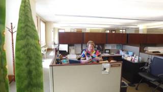 Incentive Trip 2018 - Where Will It Be?