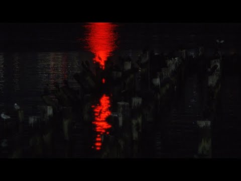 Djo - Awake (Visualizer) | Music Video, Song Lyrics and Karaoke