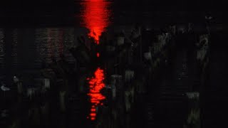 Djo - Awake (Visualizer)