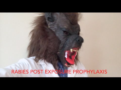 Rabies PEP (Post Exposure Prophylaxis)