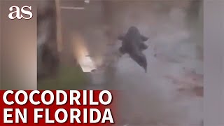 HURACÁN IAN | COCODRILO GIGANTE por las calles en FLORIDA | Diario AS