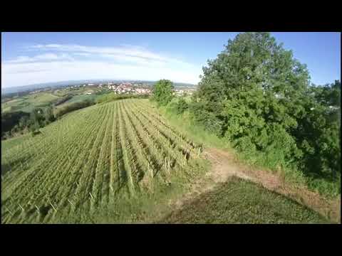 Cuccaro Monferrato - Big Bench 99