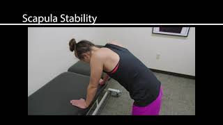 Rehabilitation Program for Patients With Irreparable Rotator Cuff Tears (MRCT)