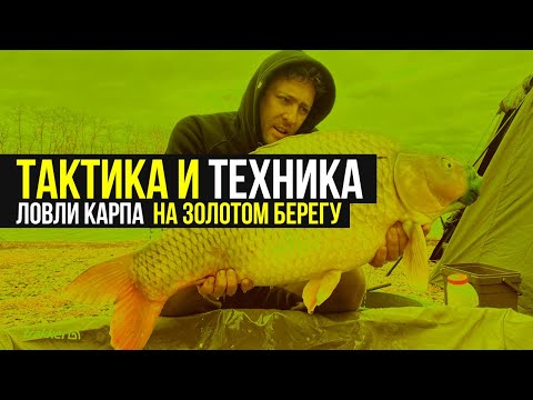 Первое видео Первое видео