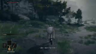 連休あけやが、エルデンやってみる ＃3