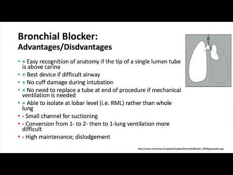 University of Kentucky RespiratoryThoracic Keyword Review Part 3 of 3 - (Dr. Schell)