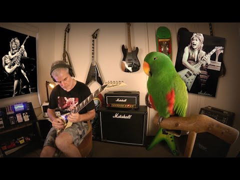 Capturing Randy Rhoads - Blizzard of Ozz Guitar Tone (Marshall DSL20H)