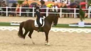 Video von Don Androsso