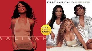Aaliyah x Destiny&#39;s Child - U Got Nerve / Perfect Man