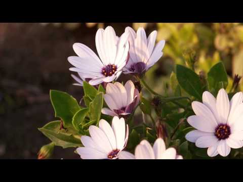 🙌🏽 GOD's Discipline. Painful Now, Fruitful Later. ❣️💕❣️💕❣️