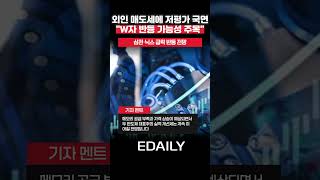 멘탈 바사삭 삼전닉스 개미들 보세요 …고수가 본 'W자 반등'