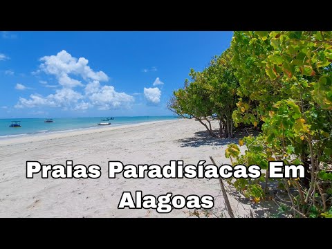 Praia De Tatuamunha E Lajes Em Porto De Pedras Alagoas Um Paraíso Pouco Conhecido