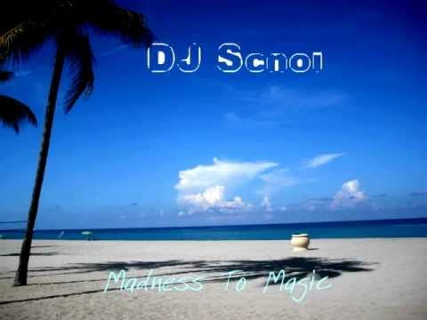 DJ Scnoi - Drop It Like An Intro (Snoop Dogg & Pharrell vs. The xx Mash-Up)