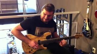 VanderMeij Guitars - Albert Houwaart