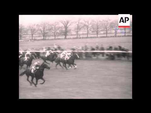 THE FLAT - LINCOLNSHIRE HANDICAP