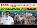 எளிய முறையில் ஆடு வளர்த்து மாதம் 1 00 000 �