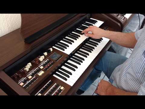 Órgão Eletrônico Tokai MD-20 - Loja Teclasom