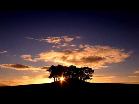 Anton Sonin & Amx ft. Sari - Undone (Rank 1 Remix)