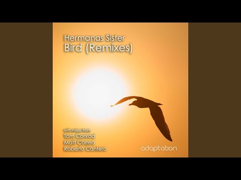 Bird (Matt Correa Club Mix)
