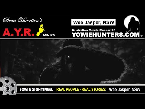 AYR Yowie / Bigfoot Sighting (Audio Report #200) at Wee Jasper, New South Wales