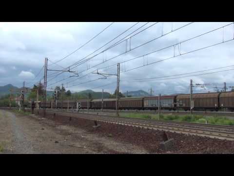 IL RE CAIMANO IN TRANSITO CON CARRI MERCI A ARQUATA SCRIVIA. (AL) 4 - 6 - 2016