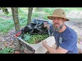 Anyone Can Build a Bathtub Worm Bin - Easy and CHEAP Worm Composting