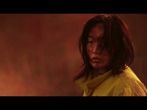 2025 金馬影展 TGHFF | 怪鰭物語 The Fin