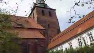 preview picture of video 'Lüneburg St. Michaelis 2008'