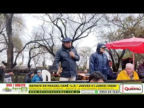 04-06-26 - Remate de Grupo Quemú - Miguel Cané, La Pampa