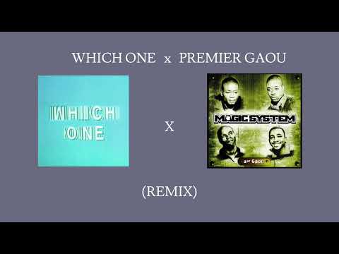 WHICH ONE x PREMIER GAOU [REMIX] 